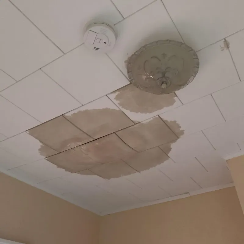 Ceiling Water Damage Repair in Garden City South, NY
